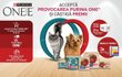 Caștiga tablete Apple iPad 11 sau seturi cu produse Purina One Cat