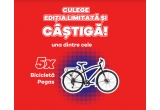 Castiga biciclete Pegas Touring Hoinar