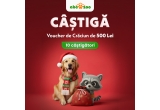 Castiga dintre cele 10 vouchere de Craciun in valoare de 500 Lei